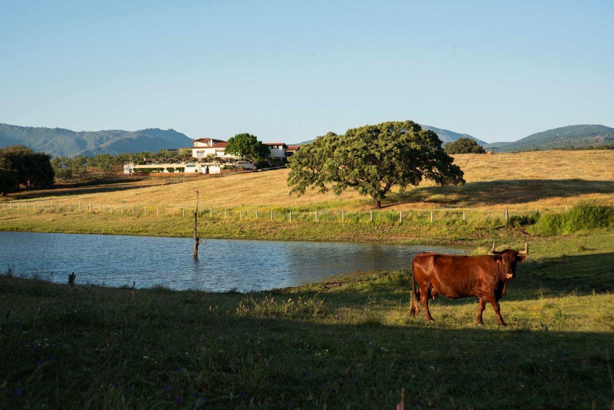 Habitat Cigueena Negra Valverde del Fresno Buitenkant foto
